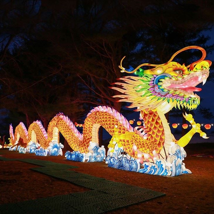 Customized Chinese Lanterns Chinese New Year Giant Dragon